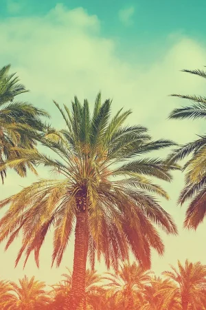 Test Post
